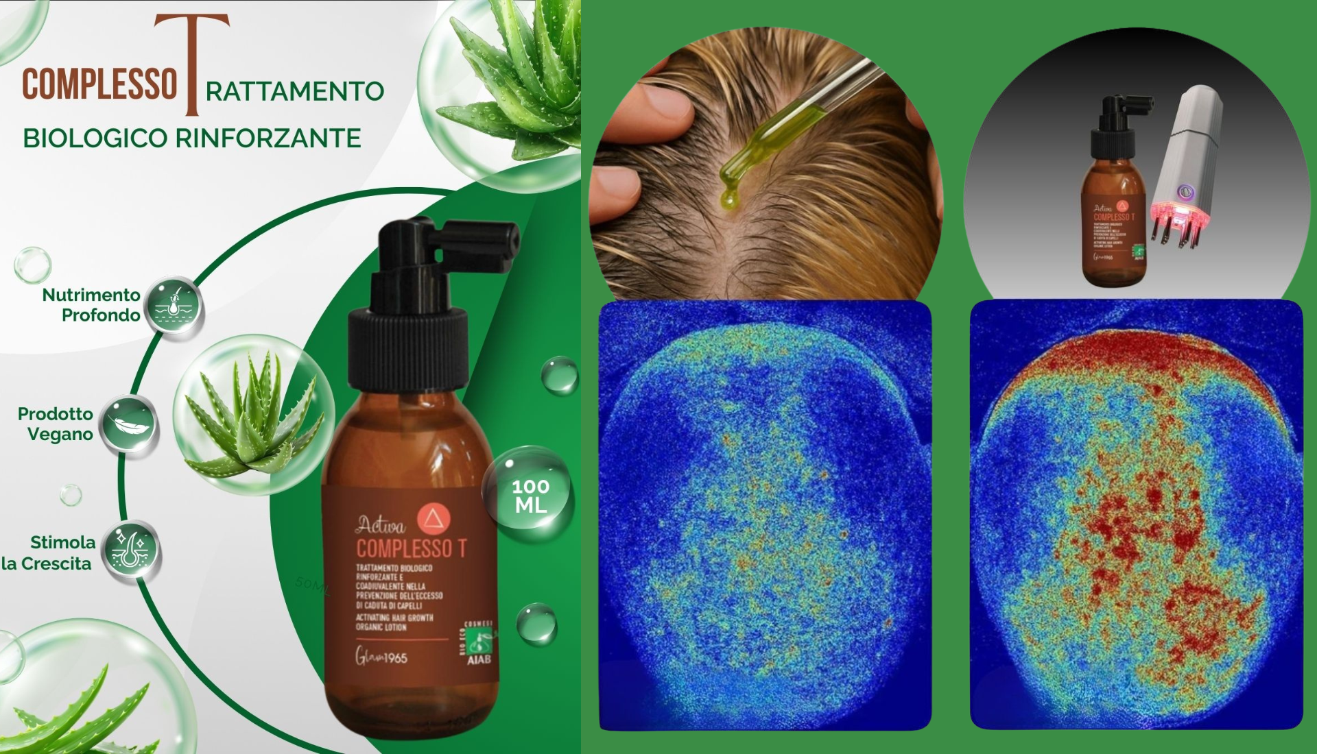 Testo del paragrafo (1920 x 800 px) (1920 x 1100 px) (4).png__PID:f18a988a-9212-4e26-8fcf-2d4831265340