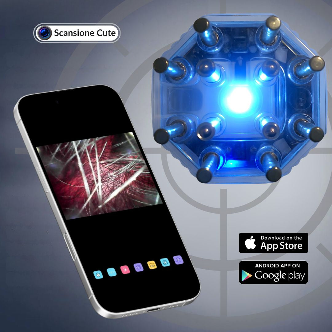 immagini - 2025-11-28T172415.013.jpg__PID:68493c71-cf65-46a0-8a53-2cb4b36c020a